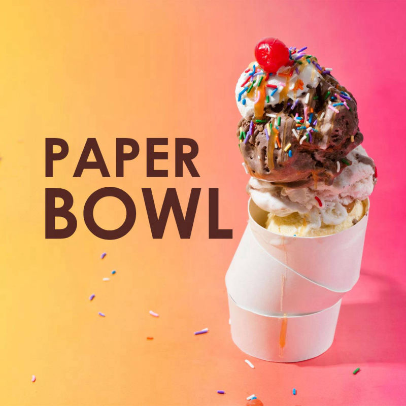 Paper Bowl