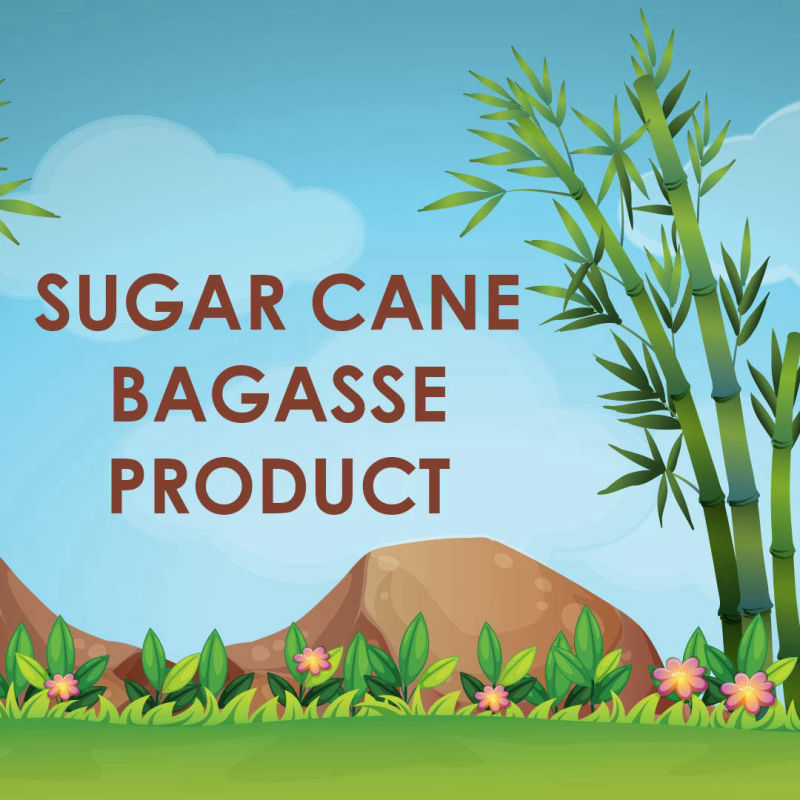 Sugar Cane Bagasse Product