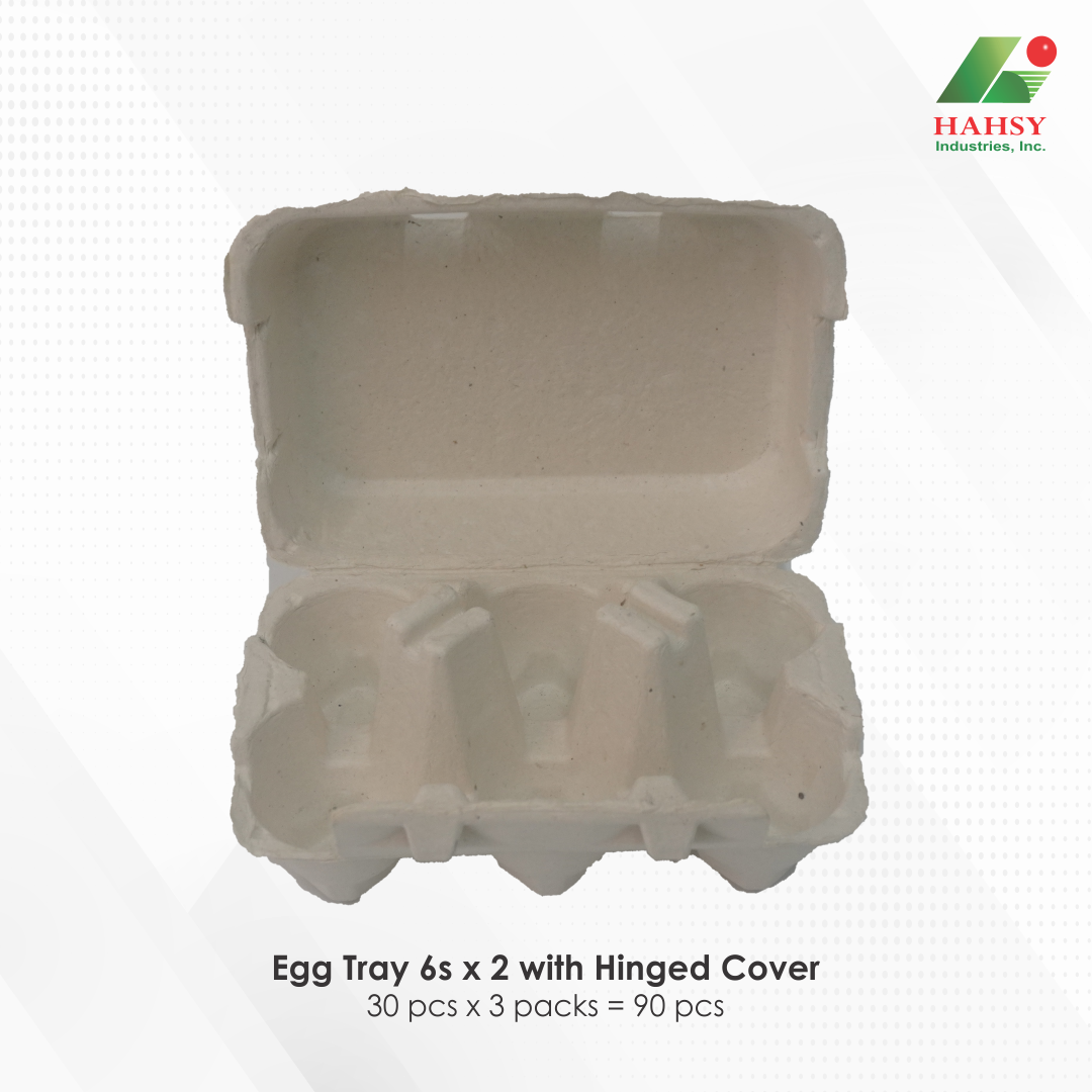 02 Egg Tray 6s x 2 with Hinged Cover