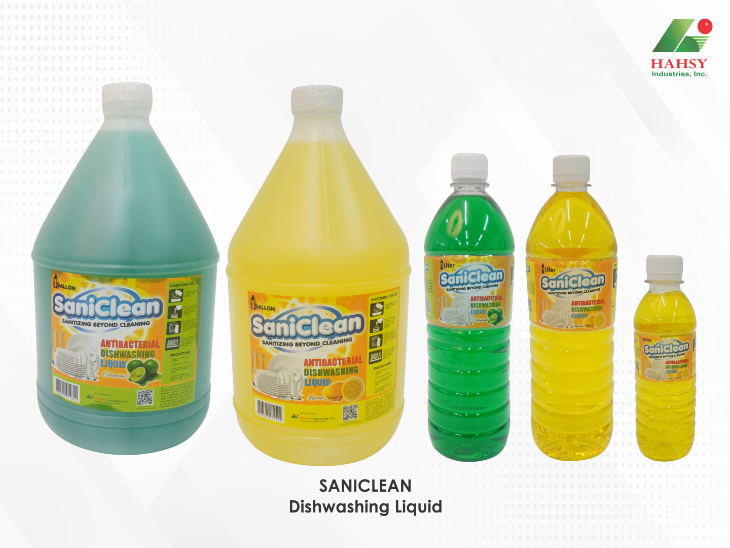 04 SANICLEAN Dishwashing Liquid