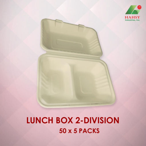 Sugarcane Bagasse Lunch Box food container with 2 division 50x5 Packs