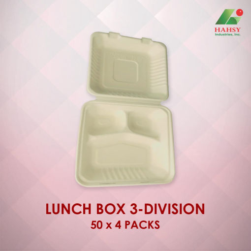 Sugarcane Bagasse Lunch Box food container with 3 division 50x4 Packs
