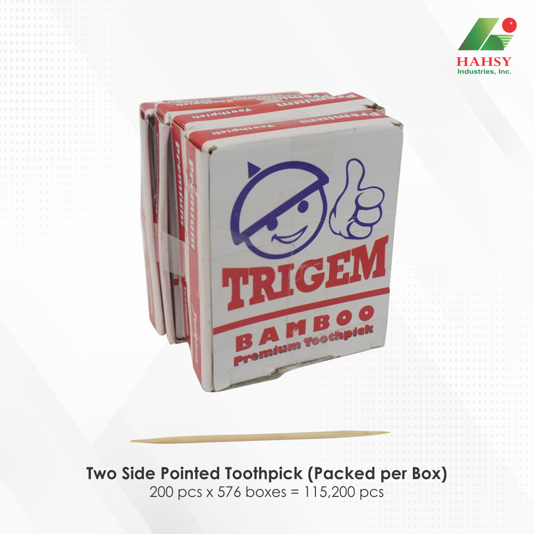 12 Two Side Pointed Toothpick (Packed per Box)
