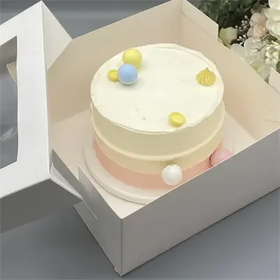 Earthpack cake box