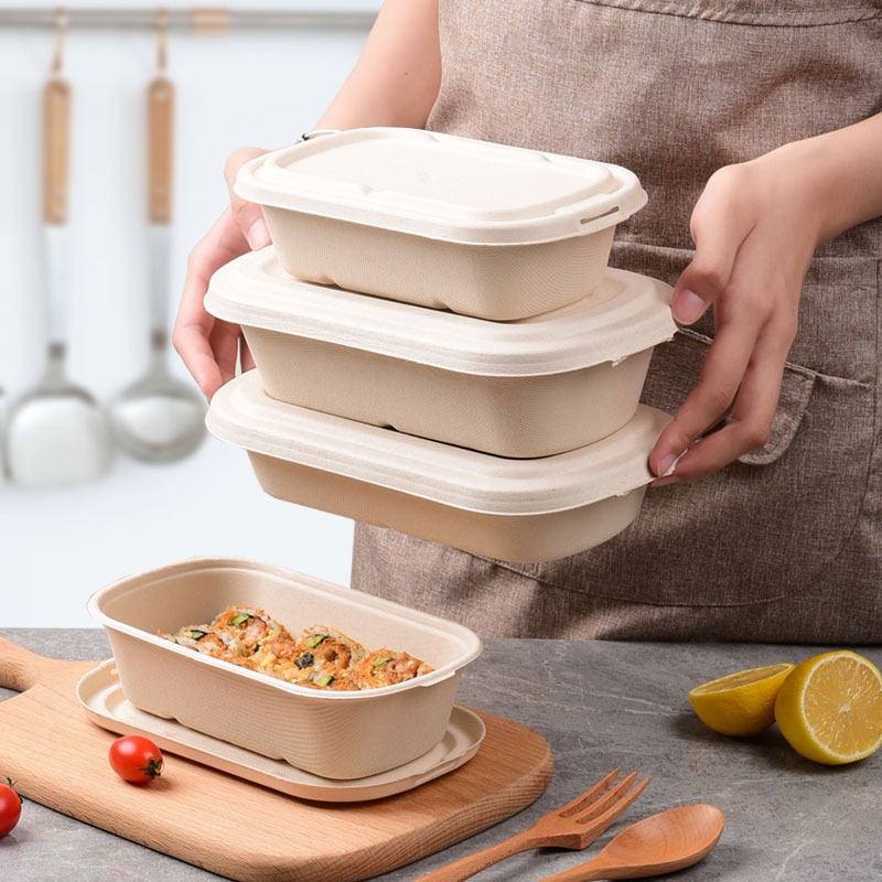 EARTHPACK Sugarcane Bagasse Products (100% Compostable)